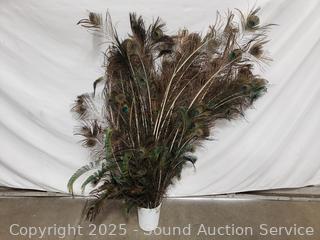 Collection of Peacock Feathers