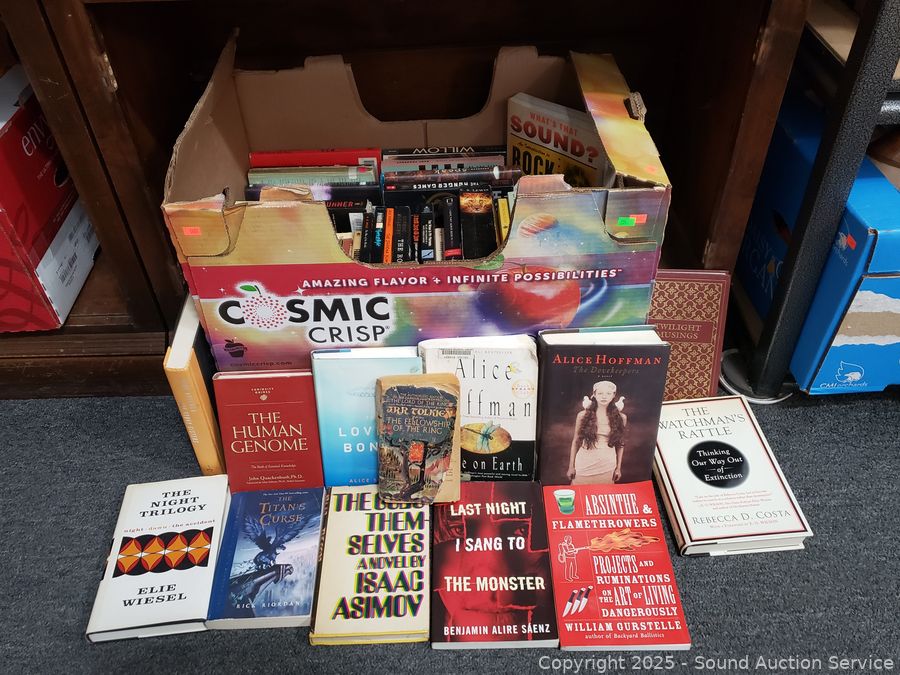 08/01/25 SAS Massage Chair, Furniture, Household Online Auction