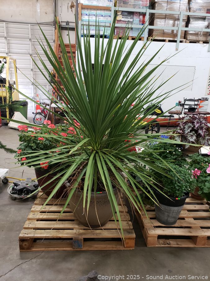 SAS Log Splitter, Plants, Crafts, Media Online Auction