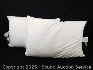 2 Plush Covered S/Q Pillows 