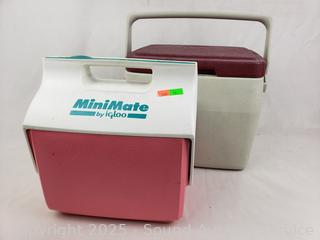 Igloo Mini Mate Cooler & Coleman Lunch Box Coolers