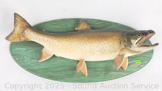 Taxidermy Brown Trout? Fish 