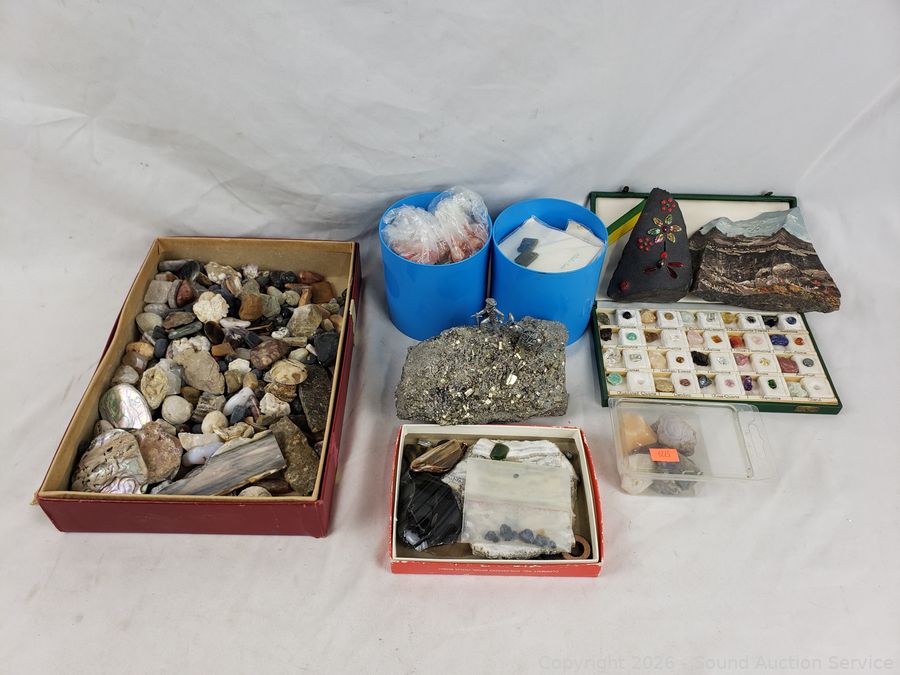 SAS Upright Freezer, Electronics, Footwear, Fitness Online Auction