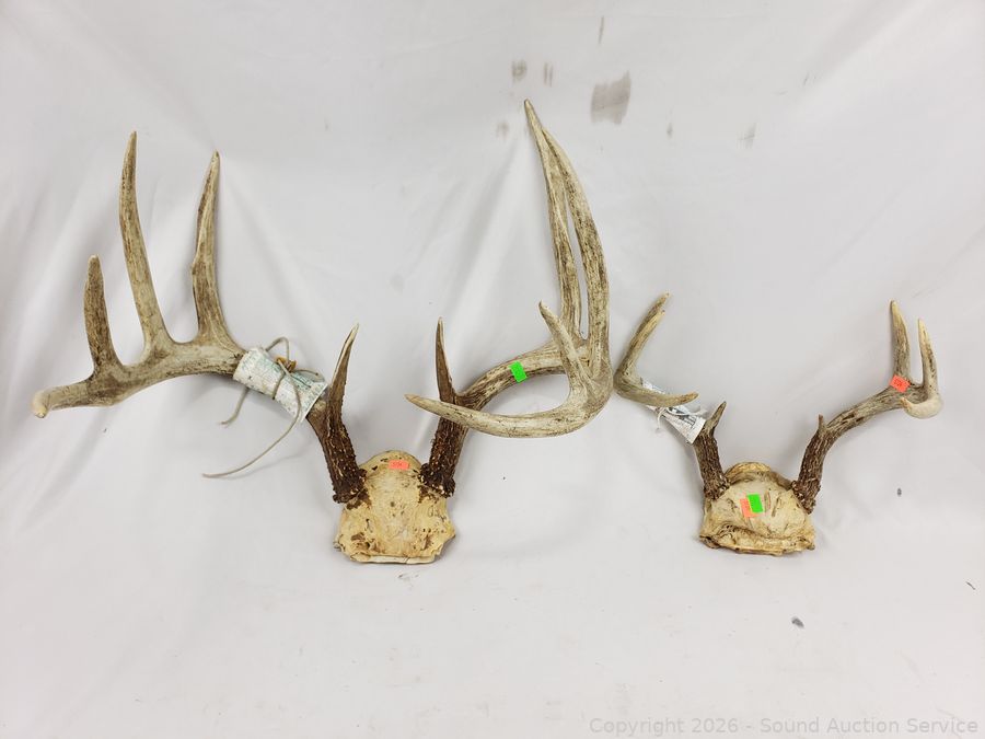 SAS Rifles, Toys, Furniture, Knives Online Auction