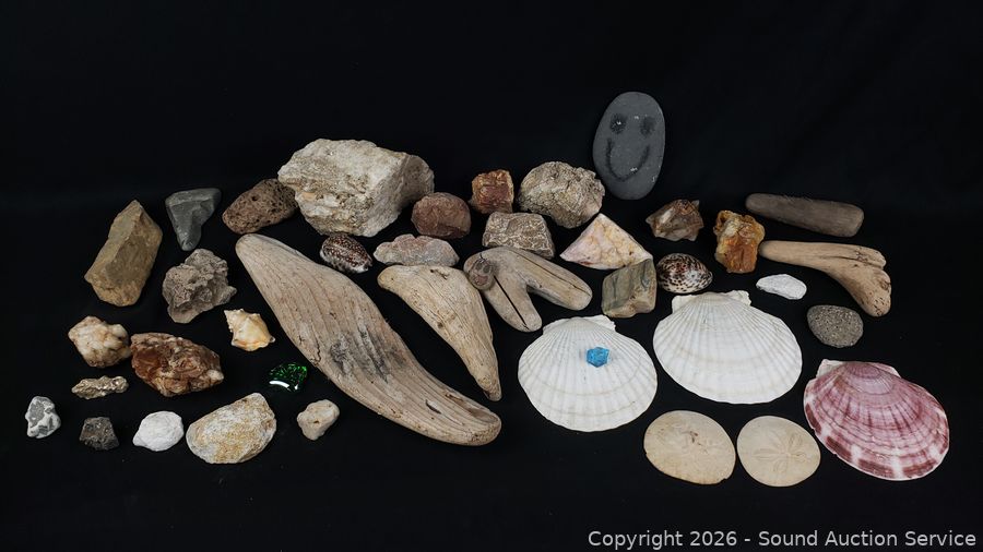 SAS Mini Van, Original Art, Household Online Auction