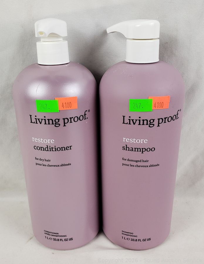 SAS Mini Van, Original Art, Household Online Auction