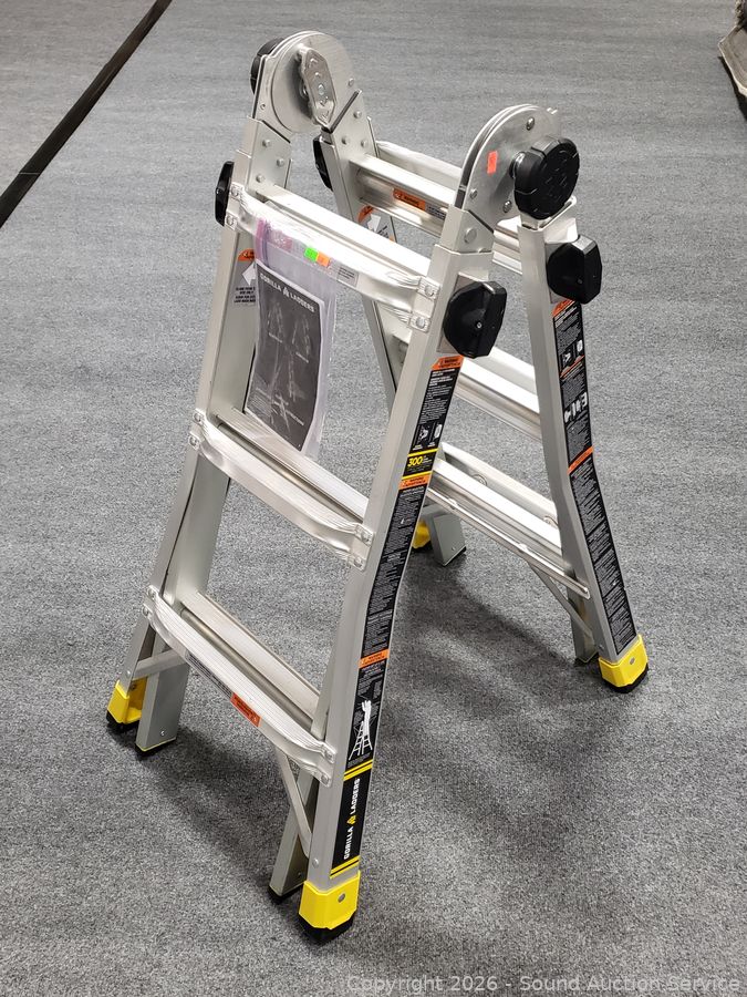 SAS Mini Van, Original Art, Household Online Auction