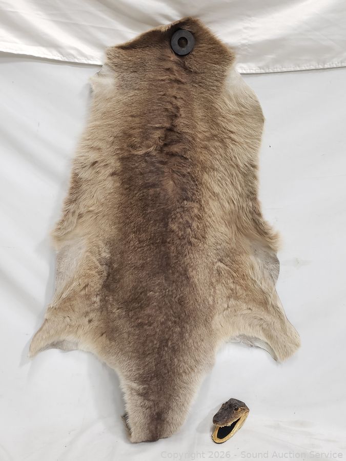 SAS Gun Safe, Generator, Knives, Swords Online Auction