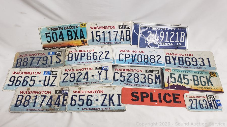 SAS Gun Safe, Generator, Knives, Swords Online Auction