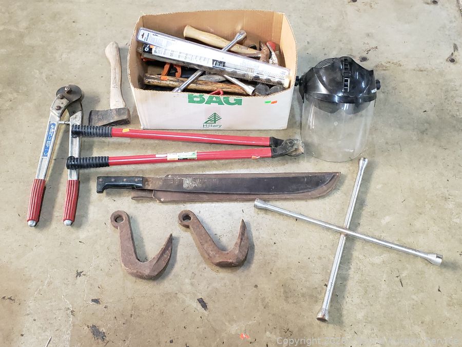 SAS Tools, Gold, Silver, Household Online Auction