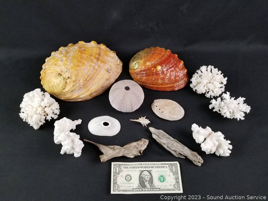 05/20/22 SAS Hall, Krier Online Auction