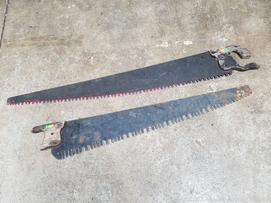 11/03/23 SAS Trepanier, Simone Online Auction