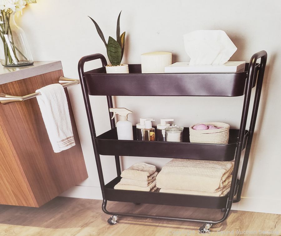 08/19/25 SAS Ford Van, Toyota Prius, Jewelry, Household Online Auction