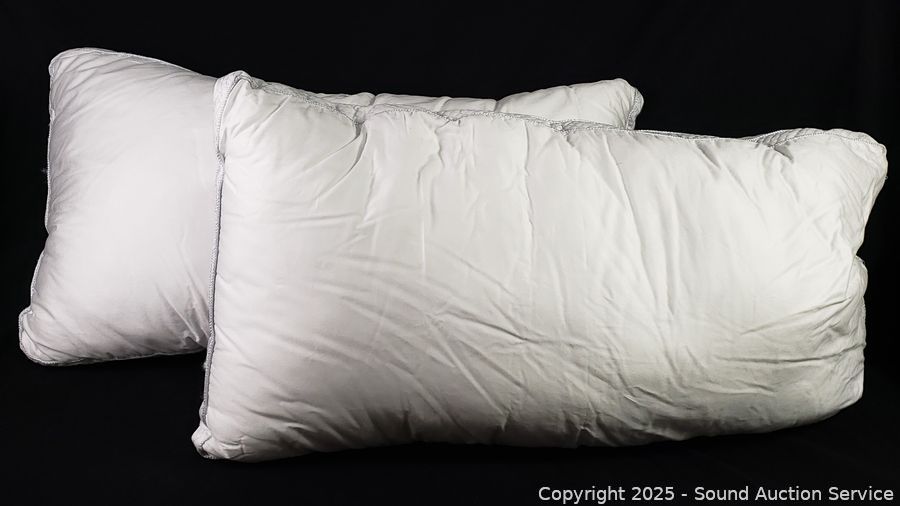 08/19/25 SAS Ford Van, Toyota Prius, Jewelry, Household Online Auction