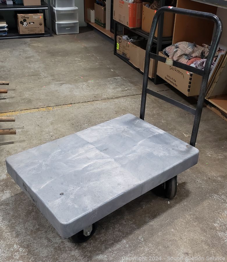 08/01/24 SAS 1968 Thunderbird, Poodle/Ballet Online Auction