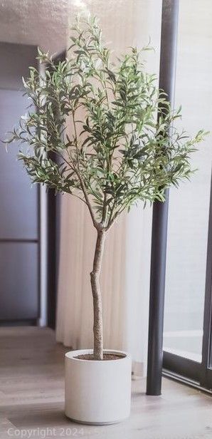 CG Hunter Life Like 77.9" Olive Tree