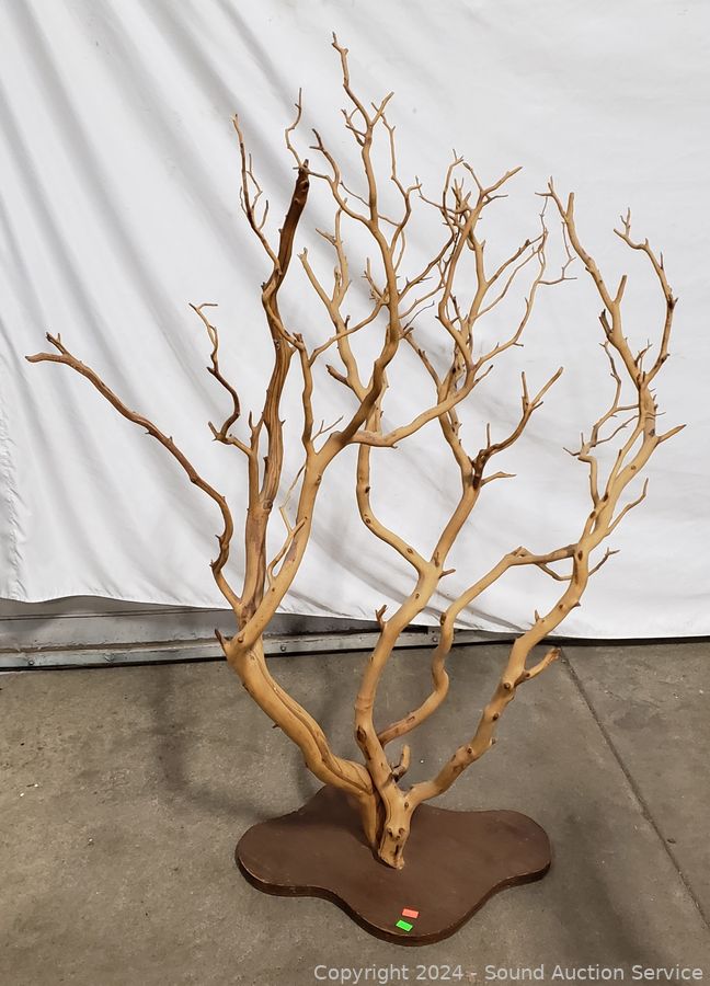 11/12/24 SAS Beds, TV’s, Knick-Knack Online Auction