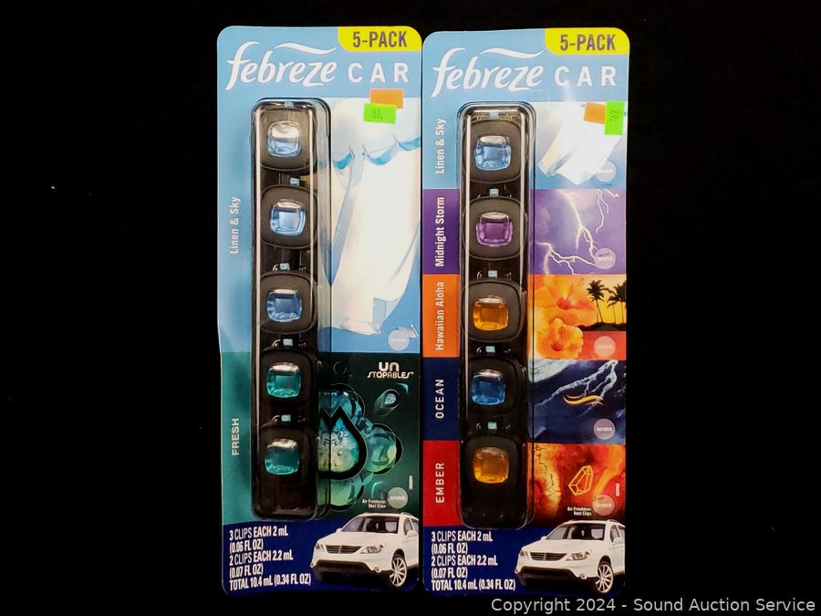 Sound Auction Service Auction SAS Beds, TV’s, KnickKnack Online