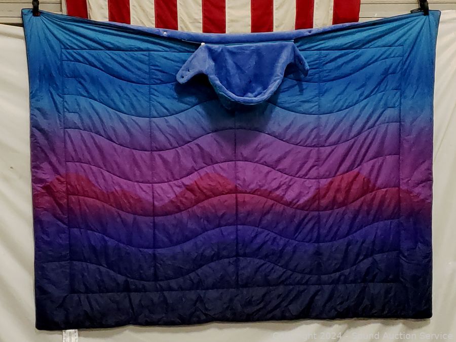 Sound Auction Service Auction SAS Beds, TV’s, KnickKnack Online