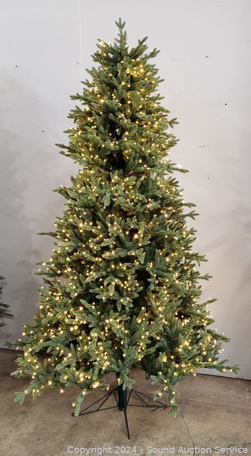 12/24/24 SAS Tools, Furniture, Household Online Auction