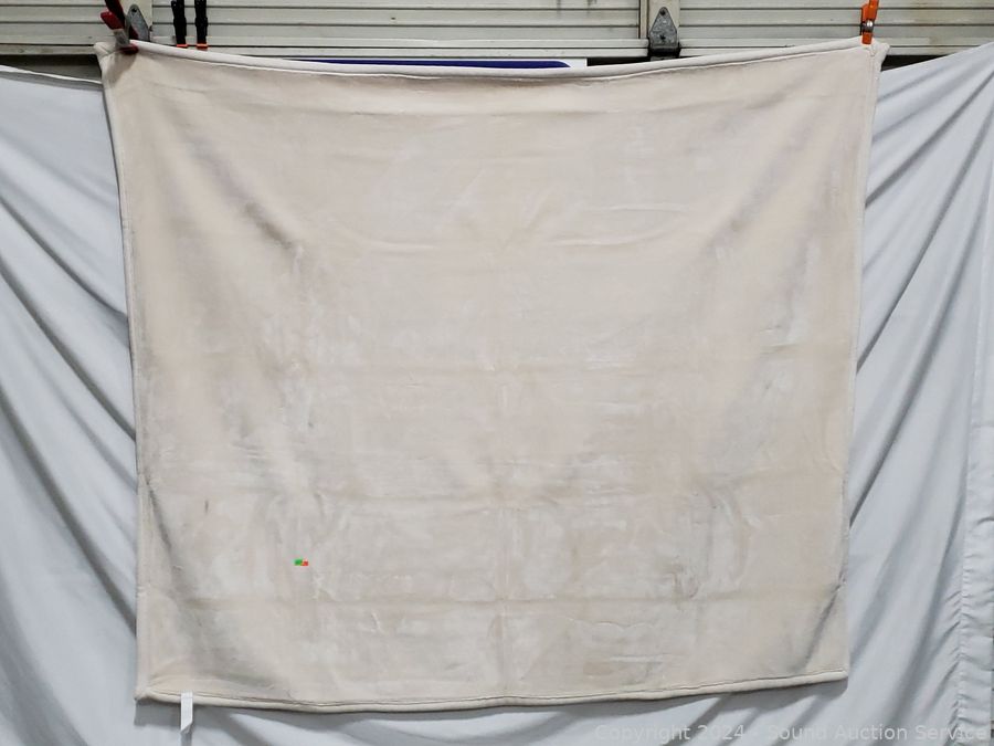 01/09/25 2010 Limited Final Edition VW New Beetle Online Auction