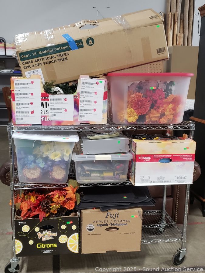 02/07/25 SAS Lighthouses, Records, Household Online Auction