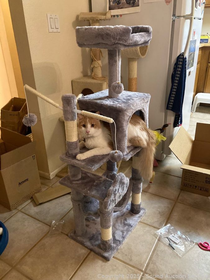 02/07/25 SAS Household Merchandise Online Auction