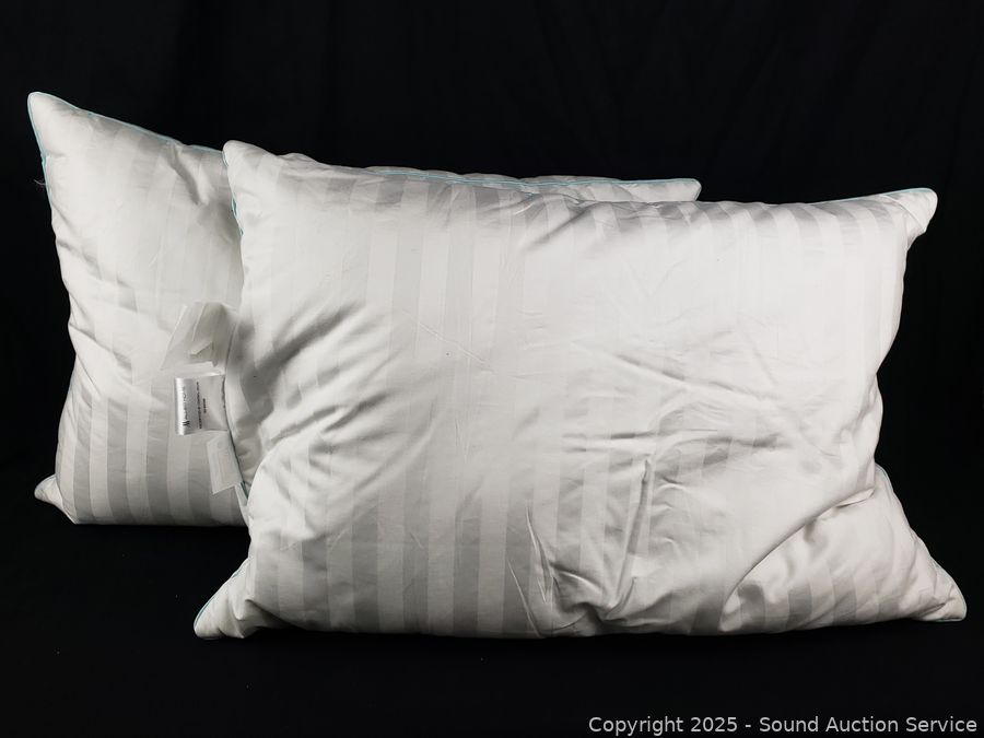 03/08/25 SAS Electronics, Oriental, Furniture Online Auction