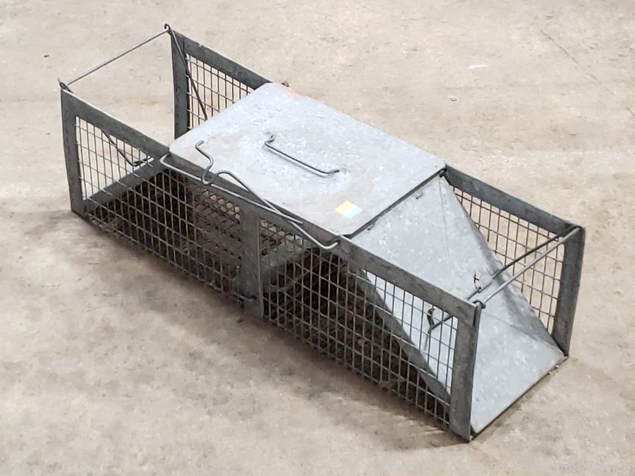 03/24/25 SAS Sports Memorabilia, Danish Teak Online Auction