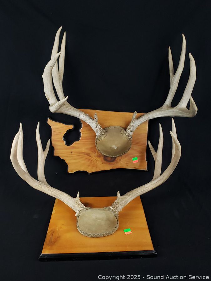 04/22/25 SAS Gold/Silver Jewelry, Coins, Antiques, Tools Online Auction