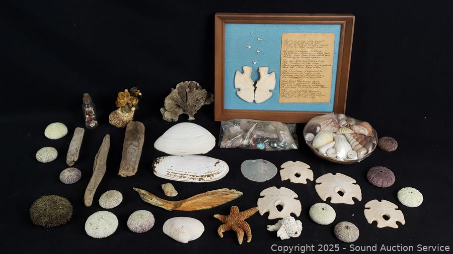 05/11/25 SAS Silver Bars, Coins, Generator Online Auction