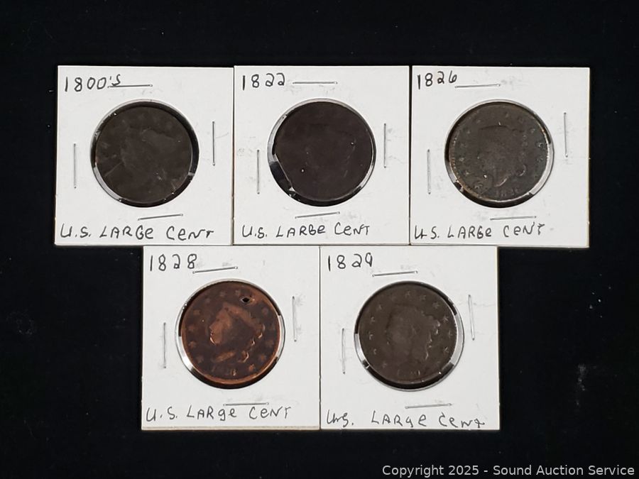 06/11/25 SAS Ammunition, Furniture, Rustic Online Auction