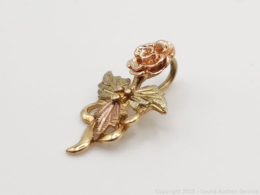 06/11/25 SAS Gold Coins, Collectible Coins, Fitness Online Auction