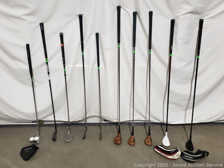 06/11/25 SAS Gold Coins, Collectible Coins, Fitness Online Auction