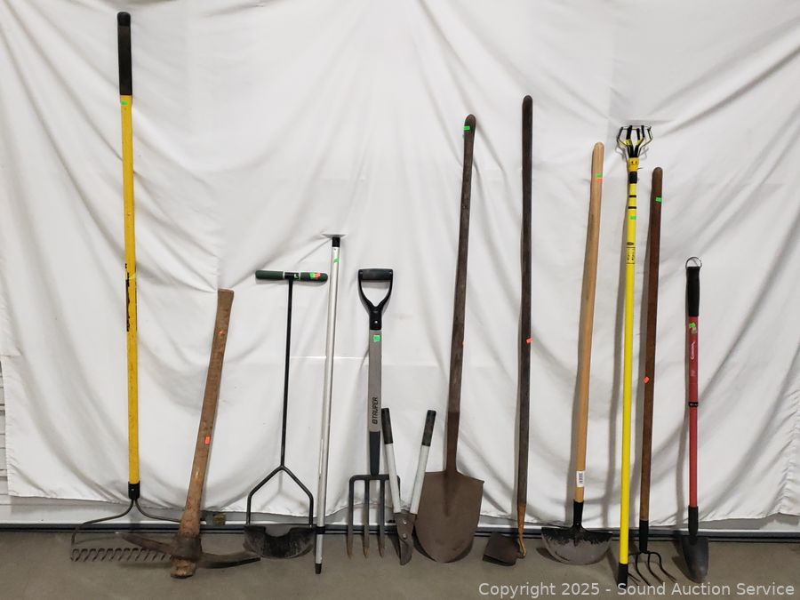 06/11/25 SAS Gold Coins, Collectible Coins, Fitness Online Auction