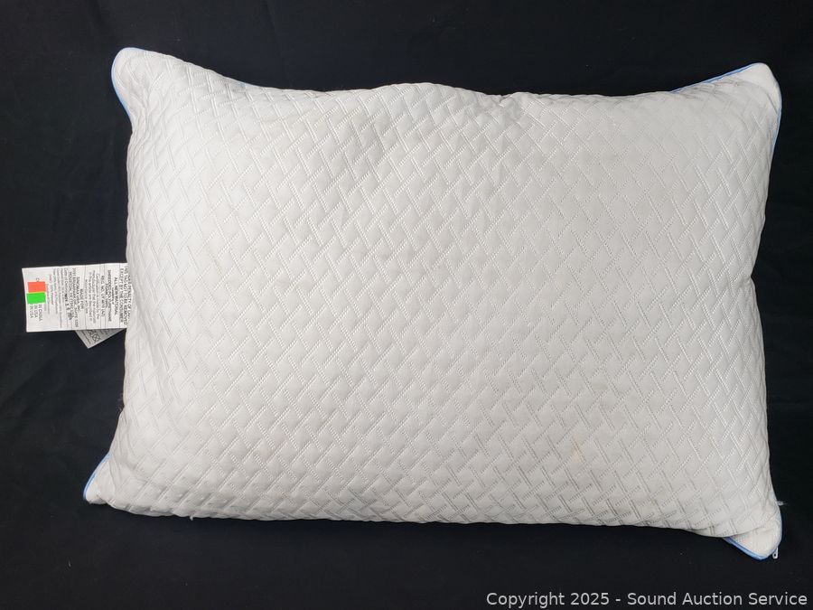 06/28/25 SAS John Deere Mower, Silver Bars, Coins Online Auction