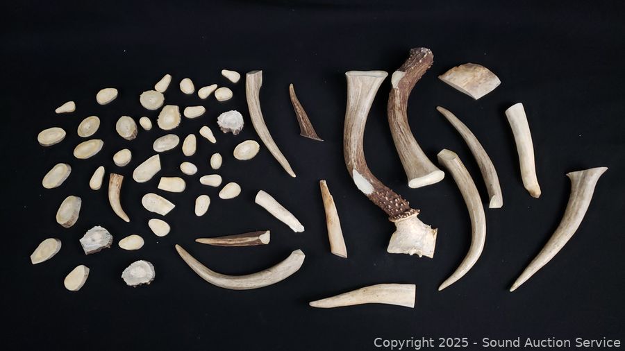 06/28/25 SAS Antique Original Mechanical Coin Banks Online Auction