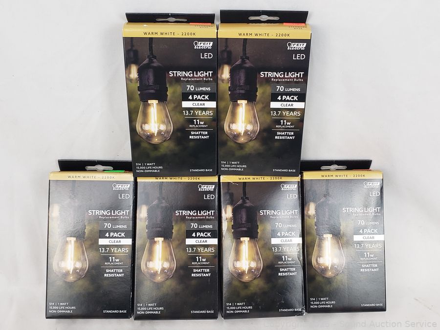 06/28/25 SAS Firearms, Sterling Tea Set, Fitness Online Auction