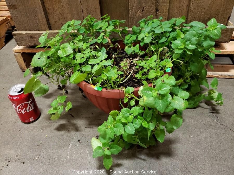 10/15/20 Gargiso, Stockwell & Others Consignment Auction