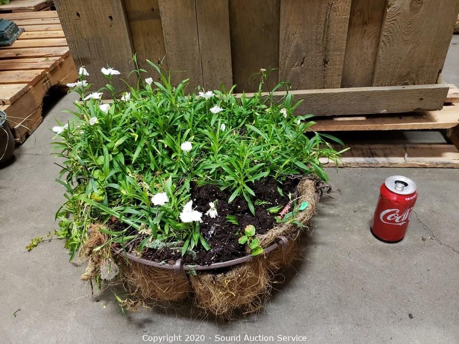 10/15/20 Gargiso, Stockwell & Others Consignment Auction