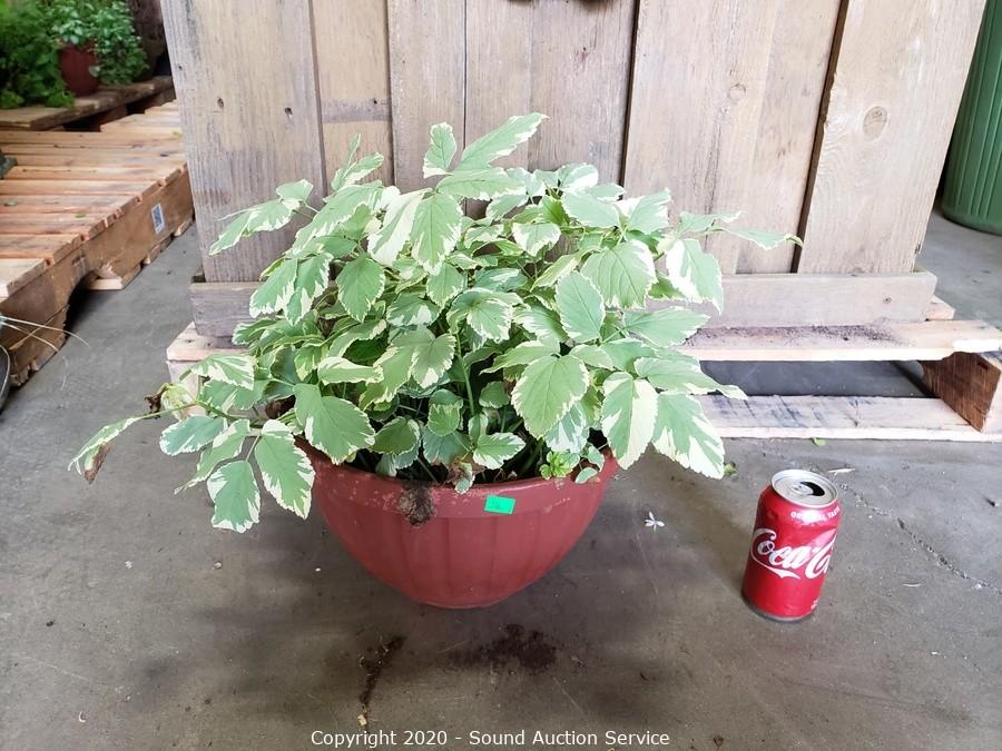 10/15/20 Gargiso, Stockwell & Others Consignment Auction