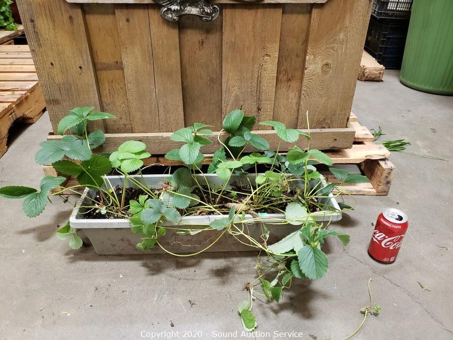 10/15/20 Gargiso, Stockwell & Others Consignment Auction