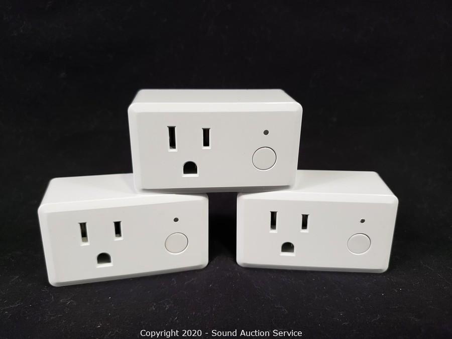 Sound Auction Service - Auction: 02/02/21 Feist & Others Consignment  Auction ITEM: 4 Feit Dual Outlet Outdoor Smart Plugs