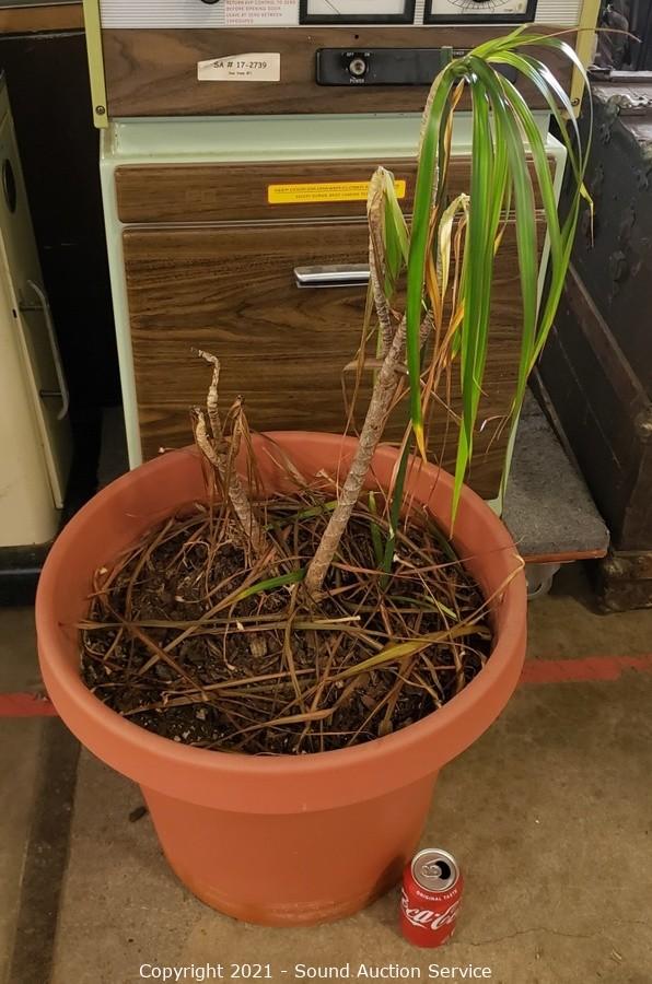 04/29/21 Morales, Adams & Others Online Auction