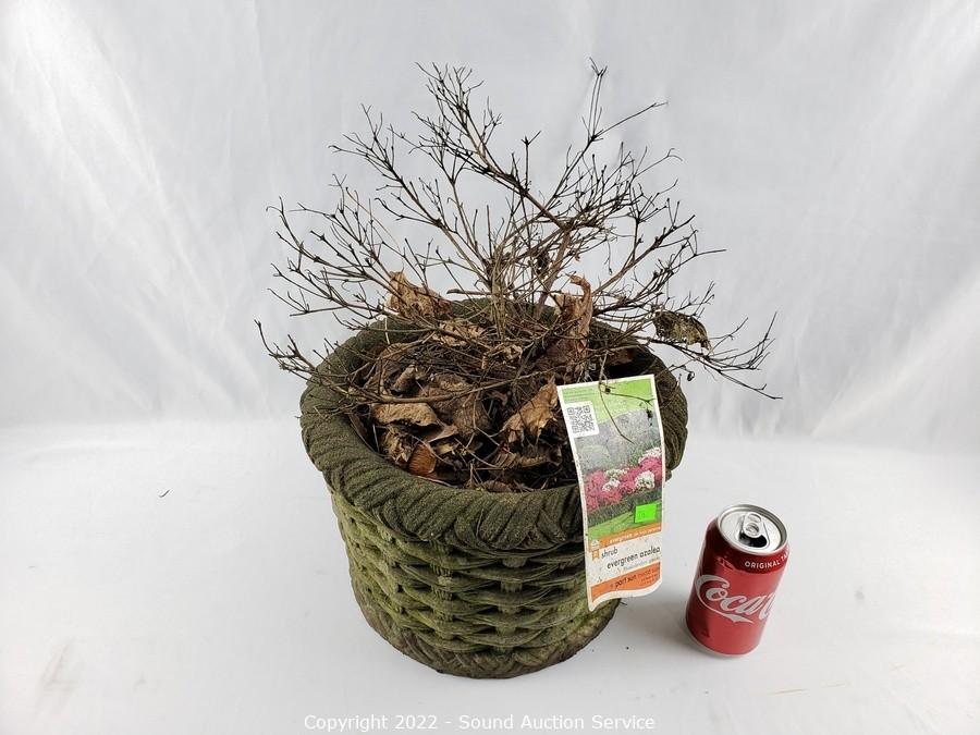 02/17/22 Lord, Hopper & Others Online Auction