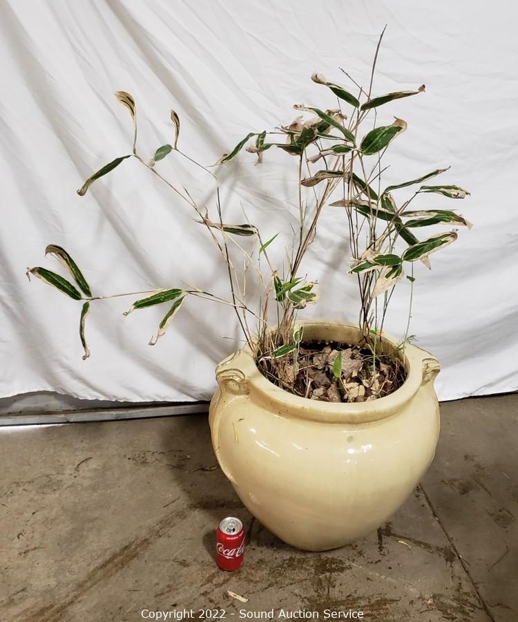 05/16/22 Yard Art, Scale Modeling, Household Online Auction