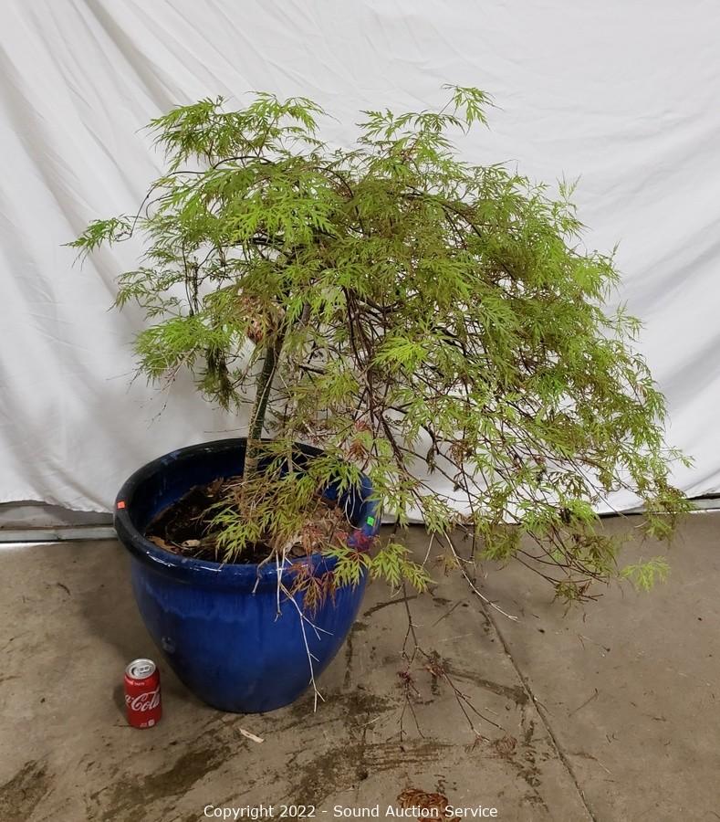 05/16/22 Yard Art, Scale Modeling, Household Online Auction