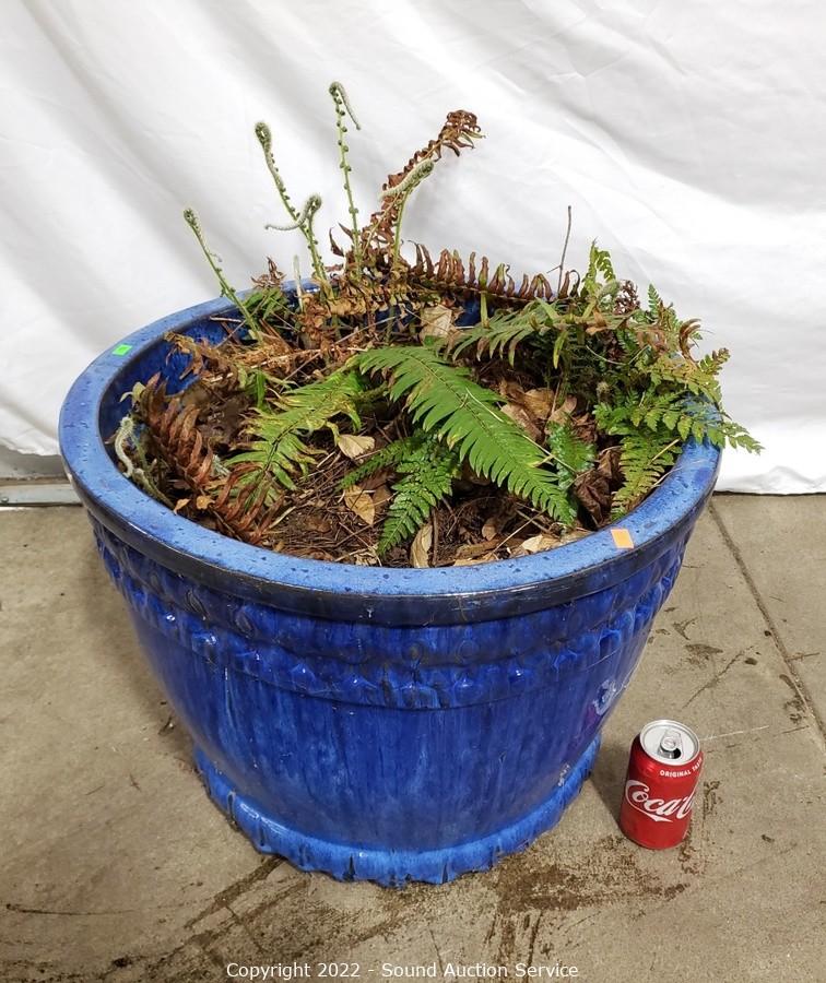 05/16/22 Yard Art, Scale Modeling, Household Online Auction