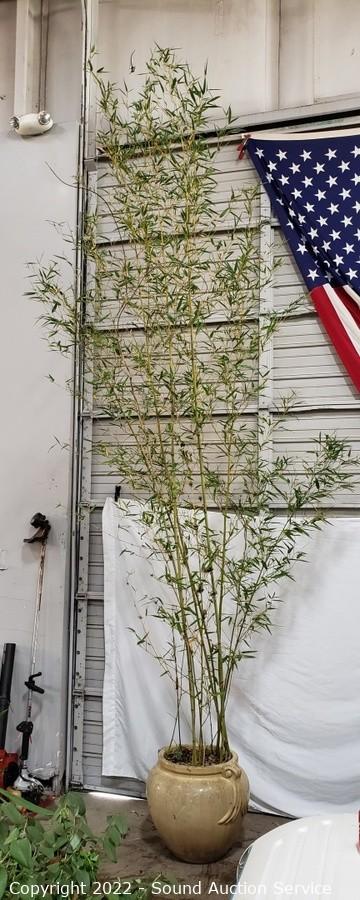 05/16/22 Yard Art, Scale Modeling, Household Online Auction