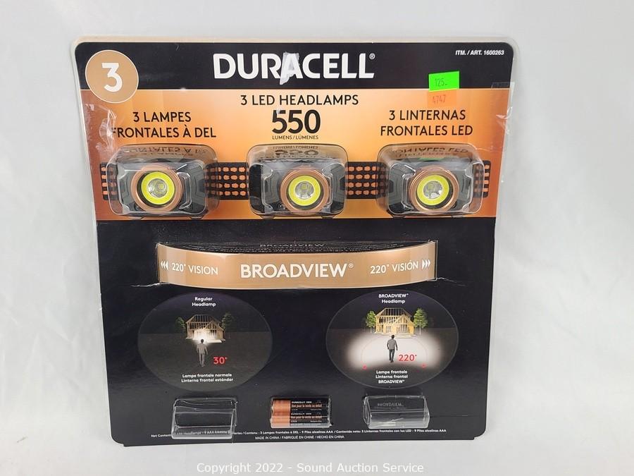 05/16/22 Yard Art, Scale Modeling, Household Online Auction